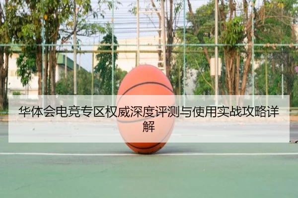 华体会电竞专区权威深度评测与使用实战攻略详解